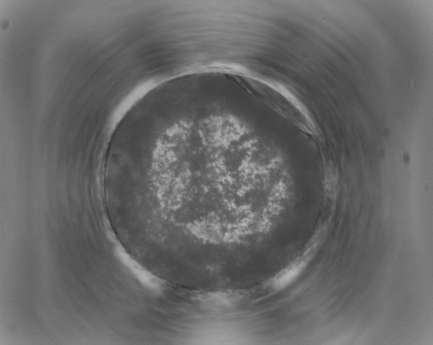 X0000062901054200602101802