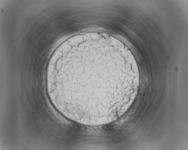 X0000062901055200602101802