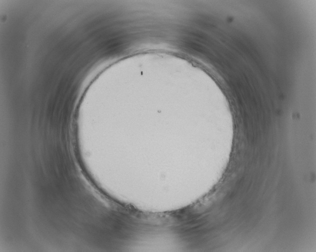 X0000062901056200602101802