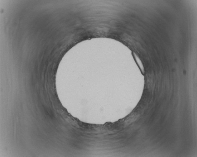 X0000062901057200602101801