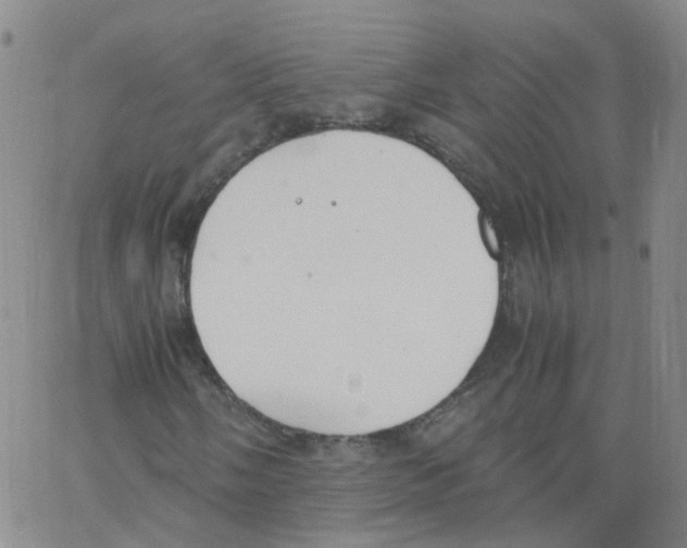 X0000062901058200602101801