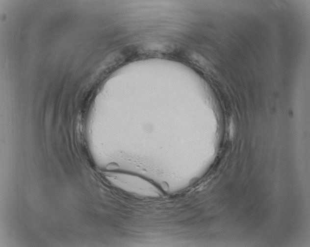 X0000062901059200602101801