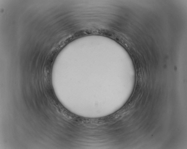 X0000062901060200602101801