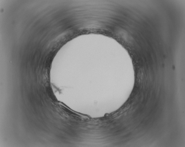 X0000062901062200602101801