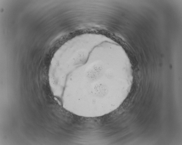 X0000062901063200602101801