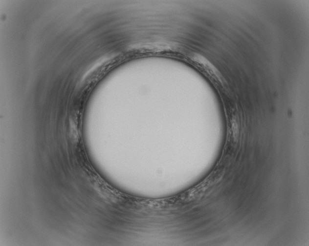 X0000062901064200602101801