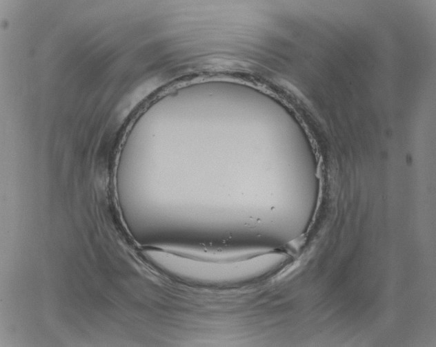 X0000062901065200602101801