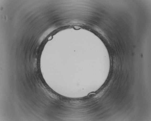 X0000062901066200602101801