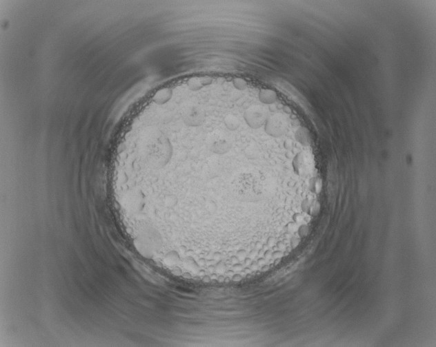 X0000062901067200602101801