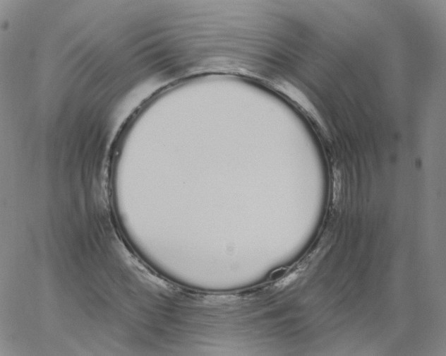 X0000062901068200602101801