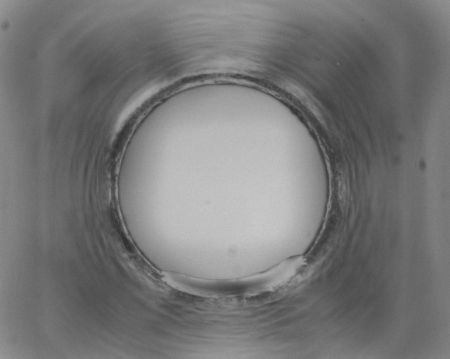 X0000062901069200602101801