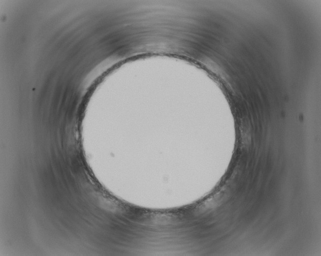 X0000062901070200602101801