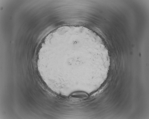 X0000062901071200602101801