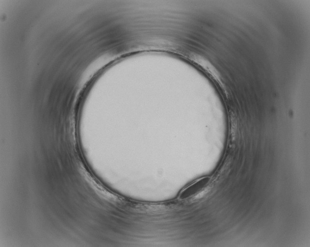 X0000062901072200602101801