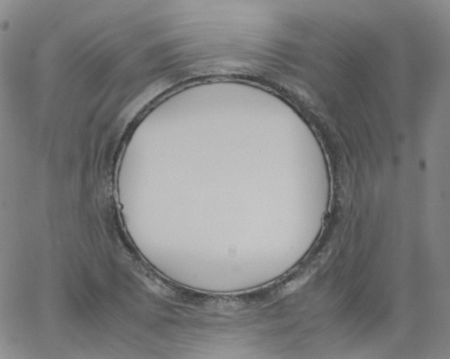 X0000062901073200602101801