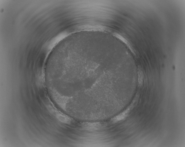 X0000062901074200602101801