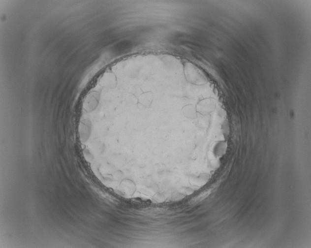 X0000062901075200602101801