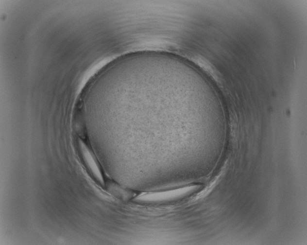 X0000062901077200602101801