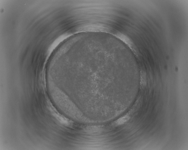 X0000062901078200602101801