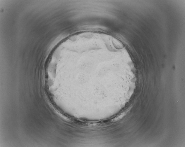 X0000062901079200602101801