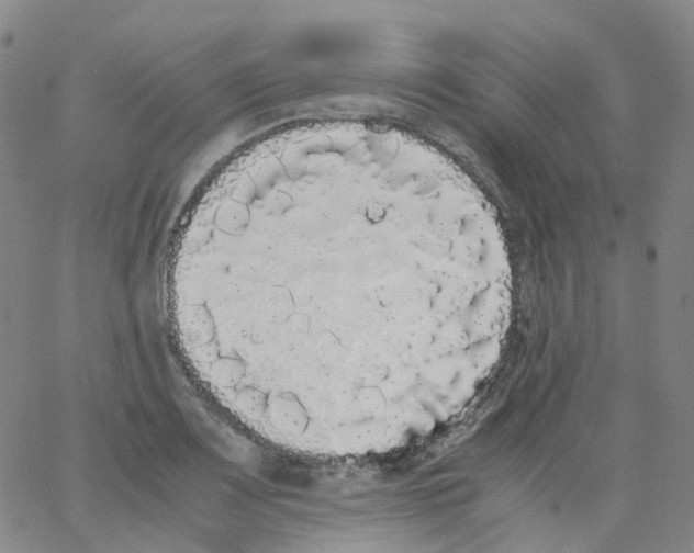 X0000062901083200602101801