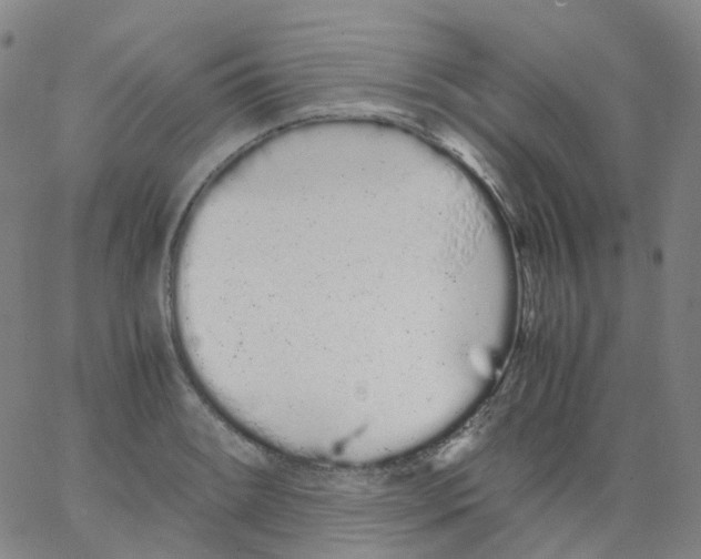 X0000062901084200602101801