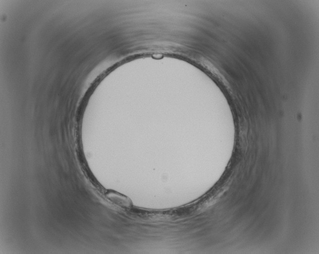 X0000062901085200602101801