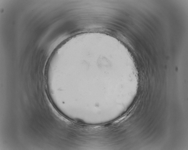 X0000062901087200602101801