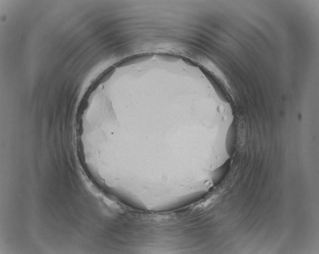 X0000062901088200602101801