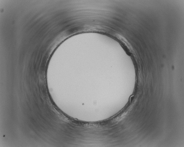 X0000062901089200602101800