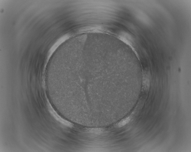 X0000062901090200602101800