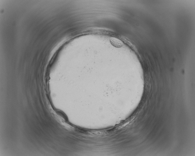 X0000062901091200602101800