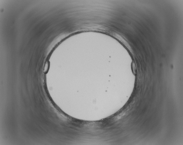 X0000062901093200602101800