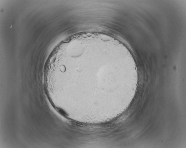 X0000062901095200602101800