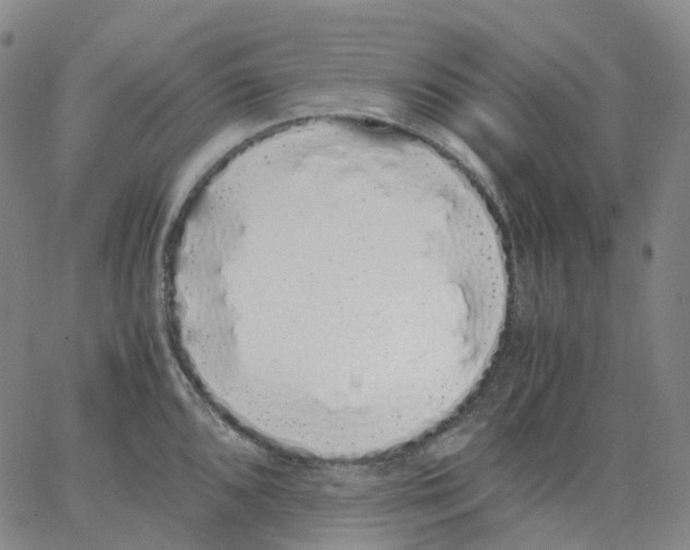 X0000062901096200602101800