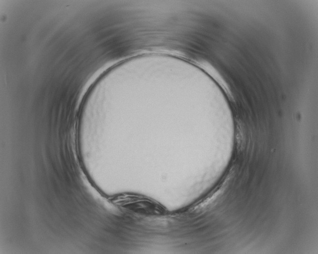 X0000062901100200602101800