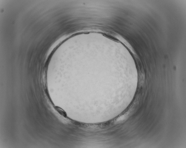 X0000062901101200602101800