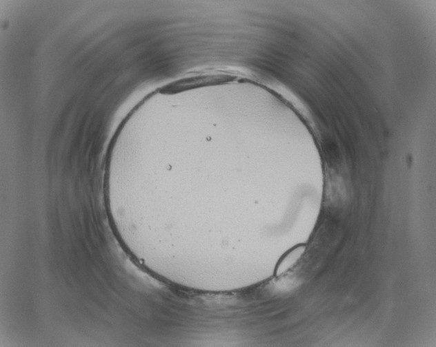 X0000062901102200602101800