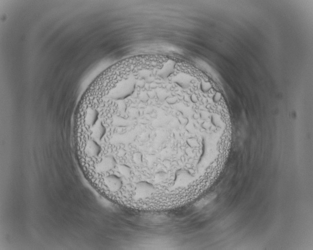 X0000062901103200602101800