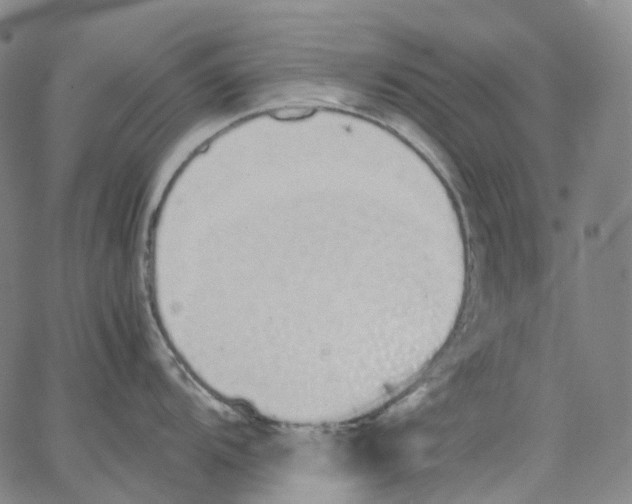 X0000062901104200602101800