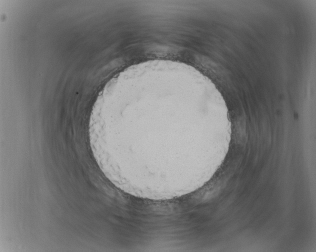 X0000062901105200602101759