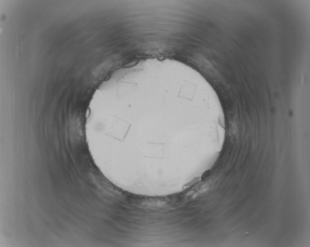 X0000062901106200602101759