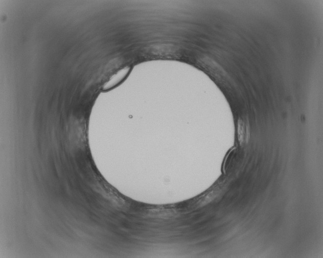 X0000062901107200602101759