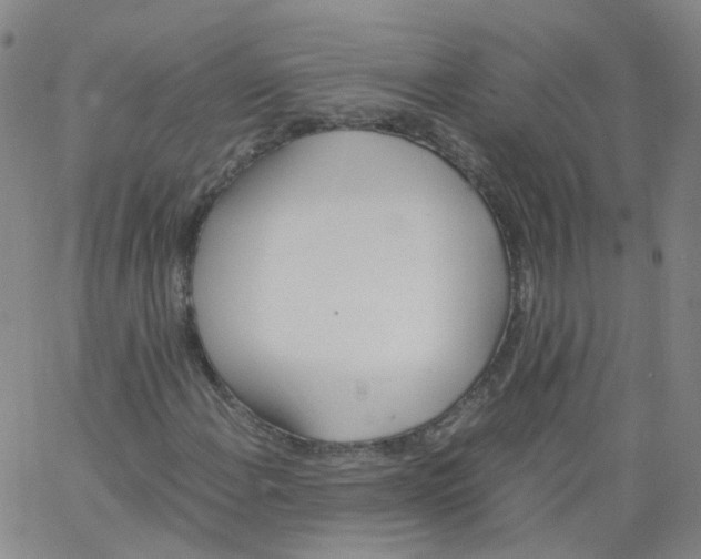 X0000062901108200602101759