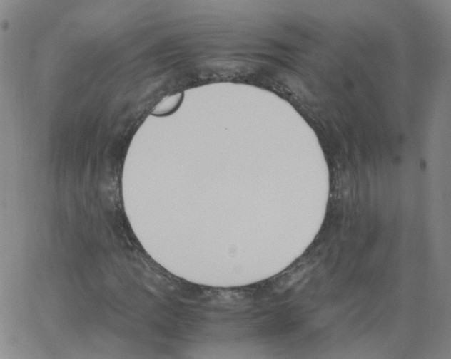 X0000062901109200602101800