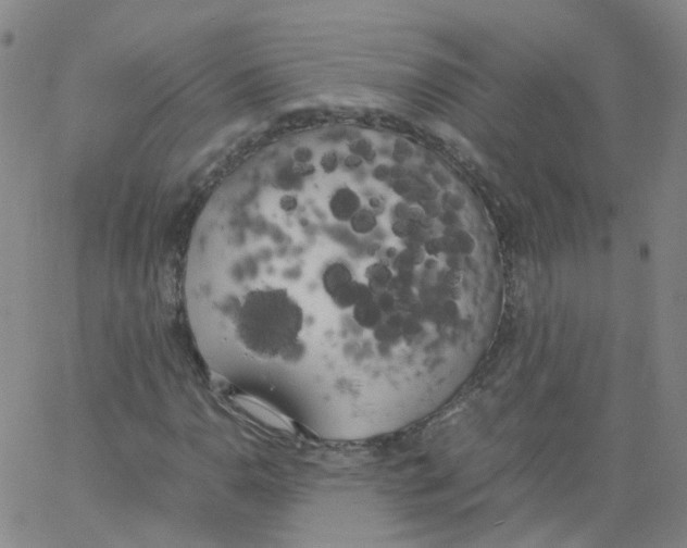 X0000062901110200602101800