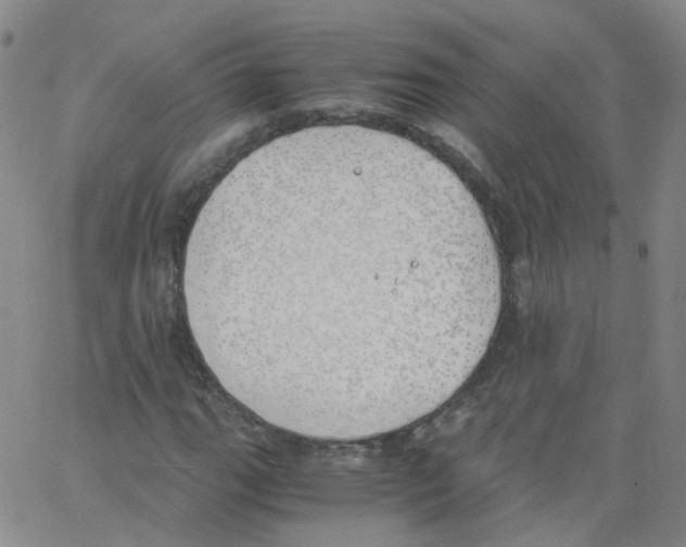 X0000062901111200602101800