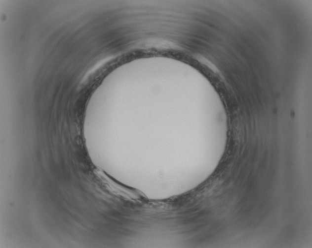 X0000062901112200602101800