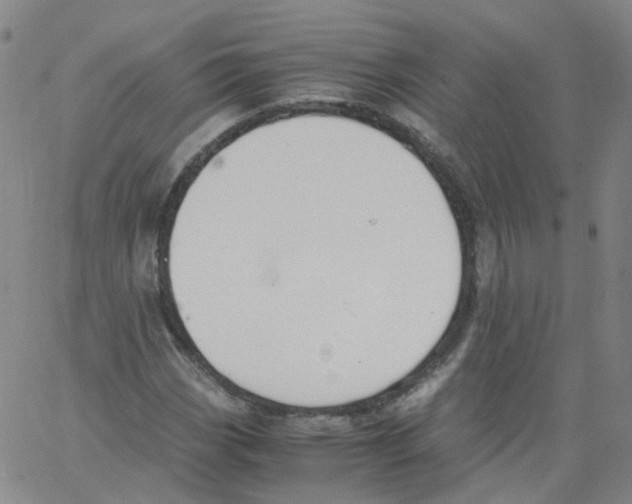 X0000062901113200602101800