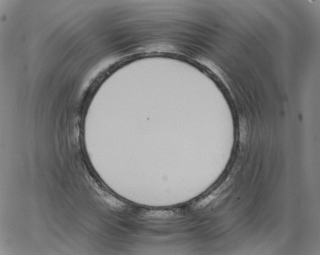 X0000062901115200602101800